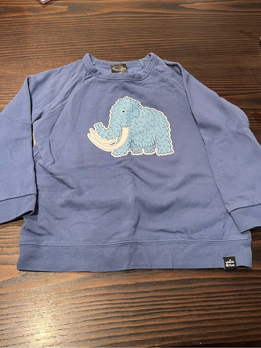Kids Blue Kawaii Mammoth Graphic Sweatshirt by Whistle & Flute
